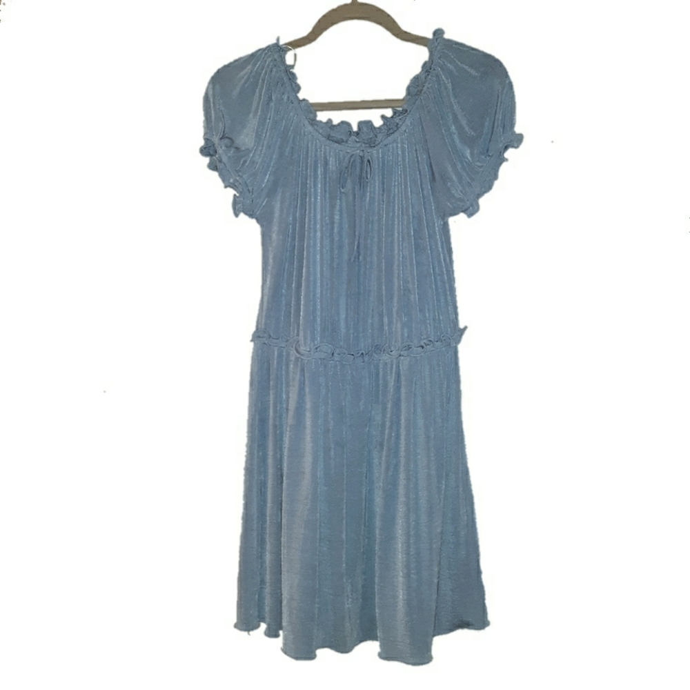 Anna Sui X UO blue shimmer dress